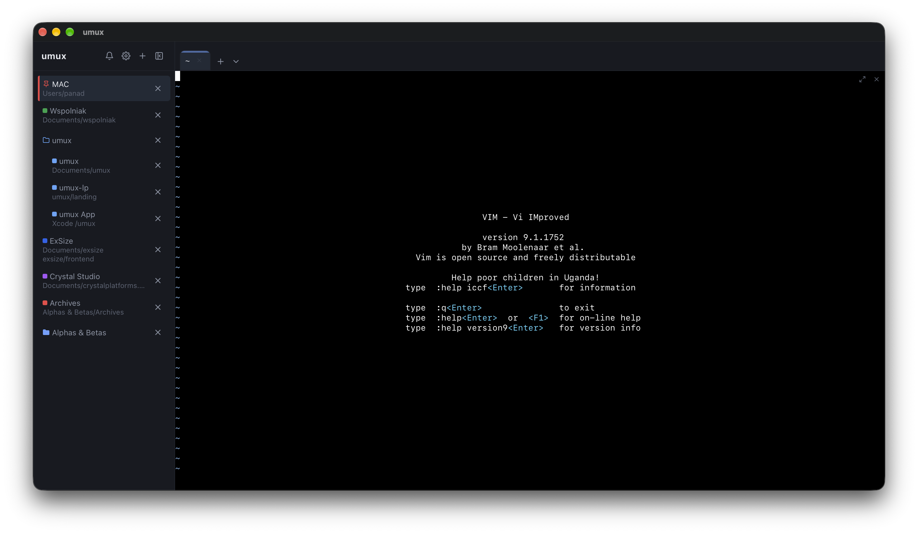 vim running inside an umux panel